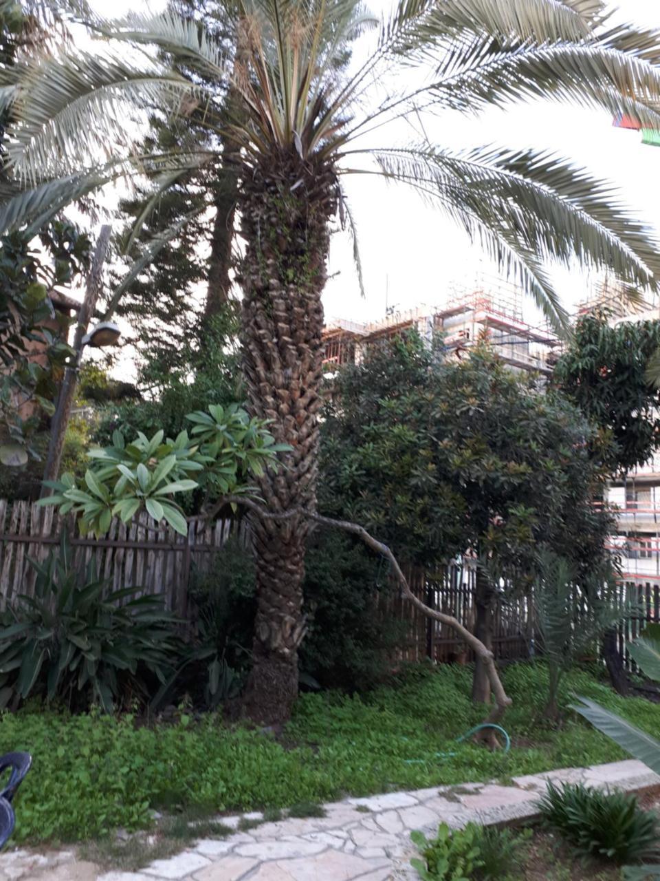 Etty'S House Hotel Petach Tikva Exterior foto