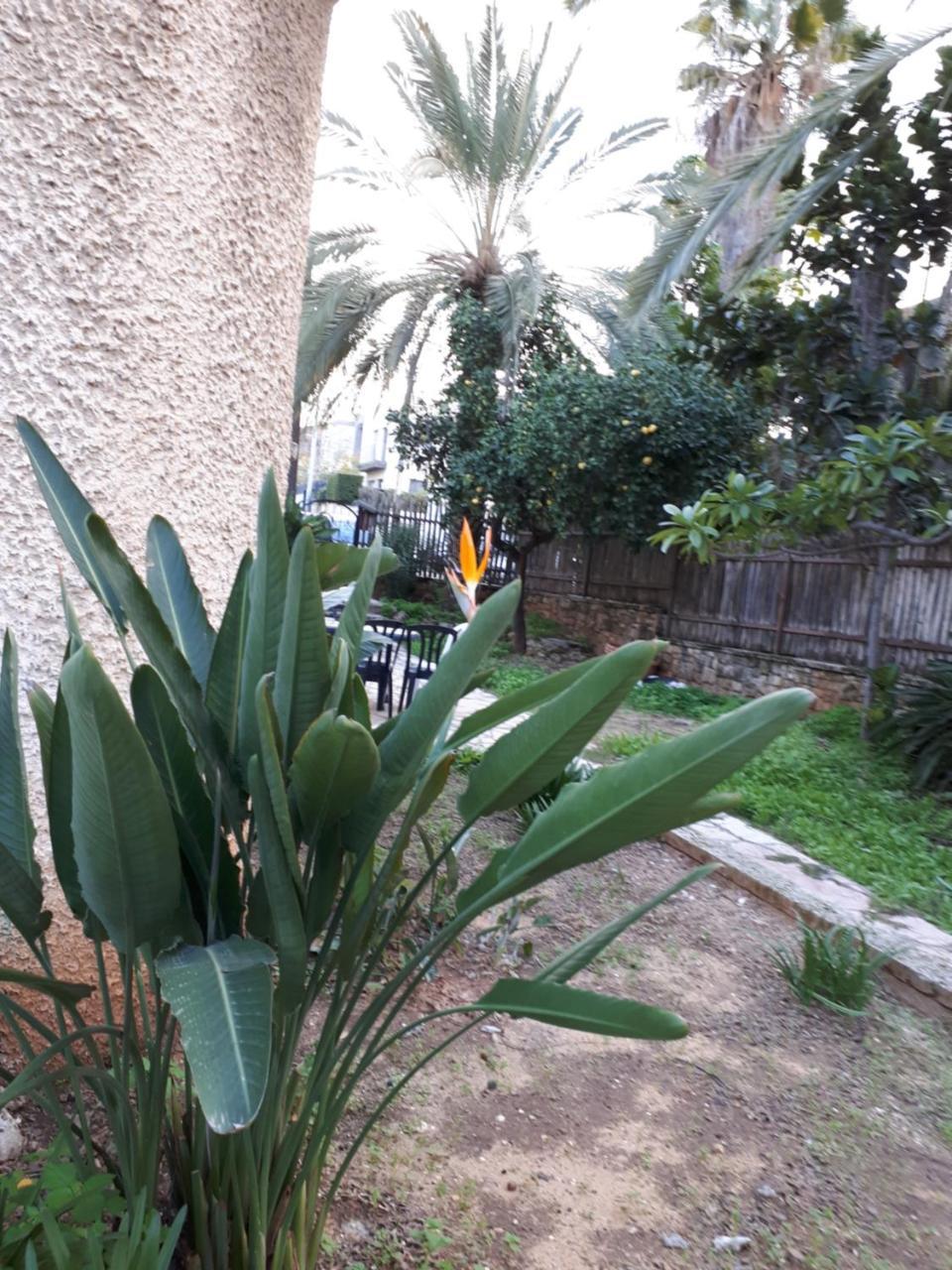 Etty'S House Hotel Petach Tikva Exterior foto